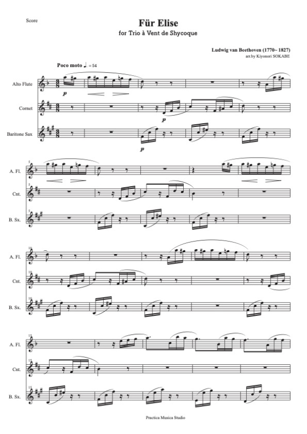 作曲者 : ルートヴィヒ・ヴァン・ベートーヴェン | 現代日本の音楽の